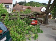 Kwikfynd Tree Cutting Services
catterick